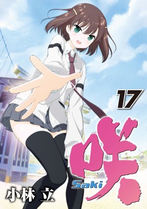 couverture, jaquette Saki 17  (Square enix) Manga