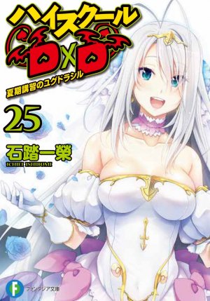 couverture, jaquette High School DxD 25  (Fujimishobo) Light novel
