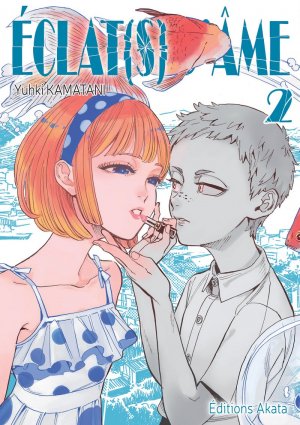 couverture, jaquette Éclat(s) d'âme 2  (akata) Manga