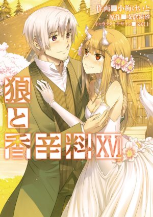 couverture, jaquette Spice & Wolf 16  (Media works) Manga