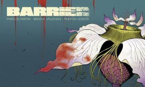 Barrier # 4 Issues (2015 - 2017)