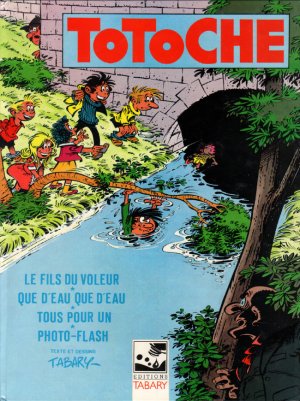 Totoche 12 - Le fils du voleur