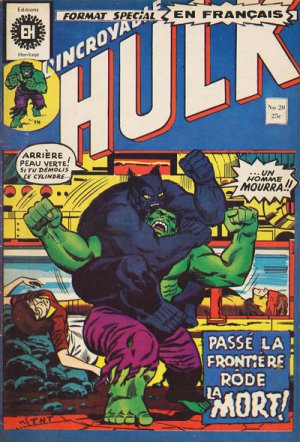 L'Incroyable Hulk 20