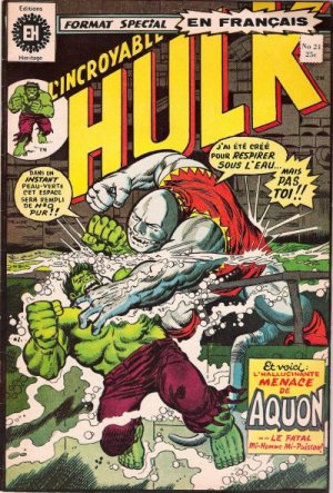 L'Incroyable Hulk 24