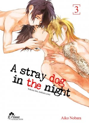 A stray dog in the night