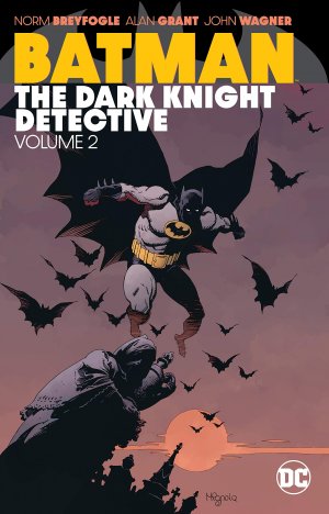 Batman - The Dark Knight Detective 2