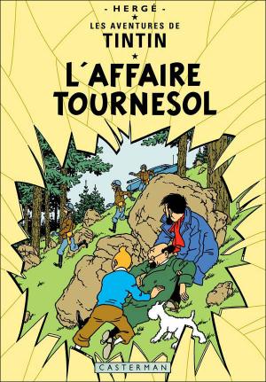 couverture, jaquette Tintin (Les aventures de) 14  - L'affaire tournesolOriginale (casterman bd) BD
