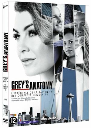 couverture, jaquette Grey's Anatomy 14  - Grey's Anatomy - Saison 14 (ABC Studios) Série TV