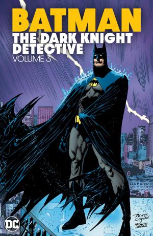 Batman - The Dark Knight Detective 3