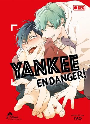 couverture, jaquette Yankee en danger !   - Yankee en danger (IDP) Manga