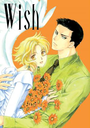couverture, jaquette Wish  intégrale (Dark Horse - Manga) Manga