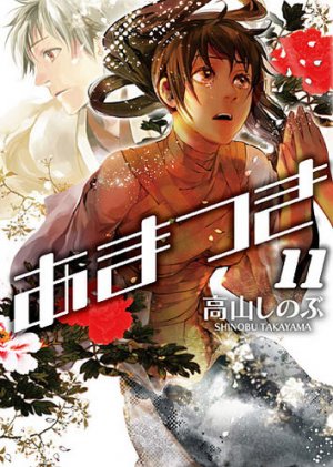 couverture, jaquette Amatsuki 11  (Ichijinsha) Manga