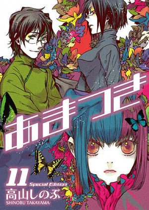 couverture, jaquette Amatsuki 11 Special (Ichijinsha) Manga
