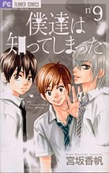 couverture, jaquette A Romantic Love Story 9  (Shogakukan) Manga