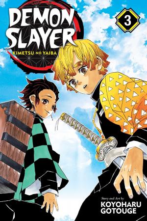 couverture, jaquette Demon slayer 3  - Believe in yourself (Viz media) Manga