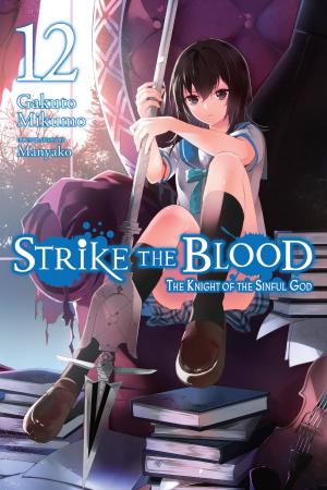 couverture, jaquette Strike The Blood 12  - The Knight of the Sinful God (Yen On) Light novel