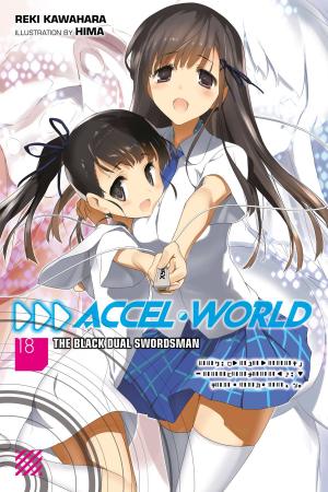 couverture, jaquette Accel World 18  (Yen On) Light novel