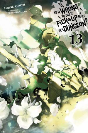 couverture, jaquette DanMachi - La légende des Familias 13  (Yen On) Light novel