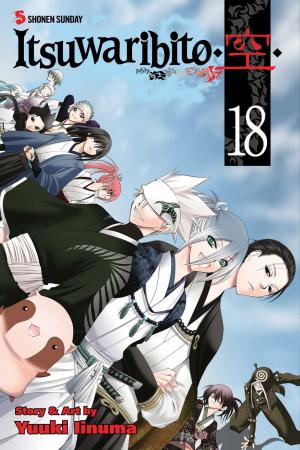 couverture, jaquette Itsuwaribito 18  (Viz media) Manga