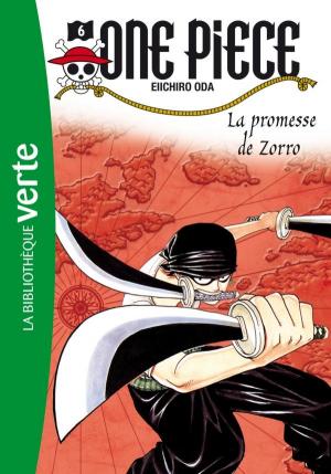 couverture, jaquette One piece 6  - la promesse de zorro (Hachette Jeunesse) Light novel