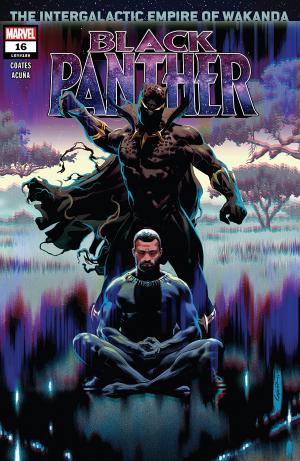 couverture, jaquette Black Panther 16 Issues V7 (2018 - 2021) (Marvel) Comics