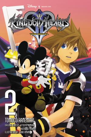 Kingdom Hearts II (Roman) 2
