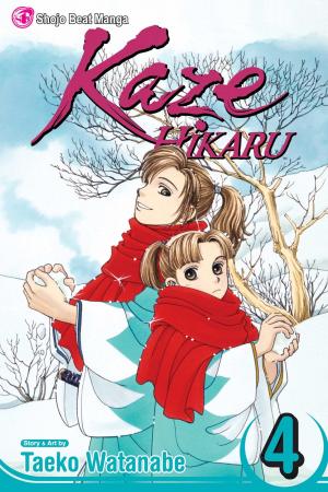 couverture, jaquette Kaze Hikaru 4 USA (Viz media) Manga