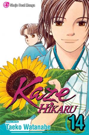 couverture, jaquette Kaze Hikaru 14 USA (Viz media) Manga
