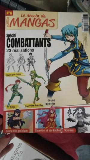 Le dessin de mangas 15 - Spécial combattants