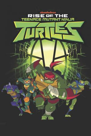 Rise of the teenage mutant ninja turtles édition TPB