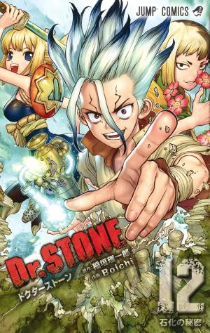 couverture, jaquette Dr. STONE 12  (Shueisha) Manga