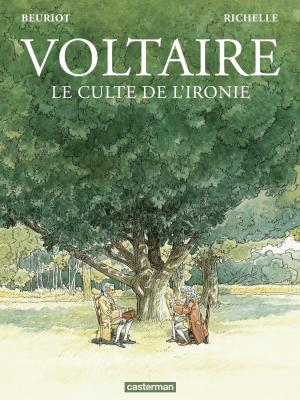 Voltaire - Le culte de l'ironie édition simple