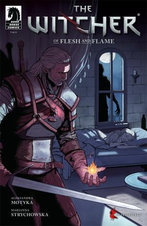 The Witcher - Of Flesh and Flame édition Issues