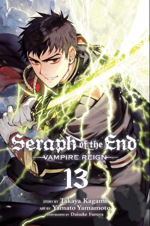 couverture, jaquette Seraph of the end 13  (Viz media) Manga