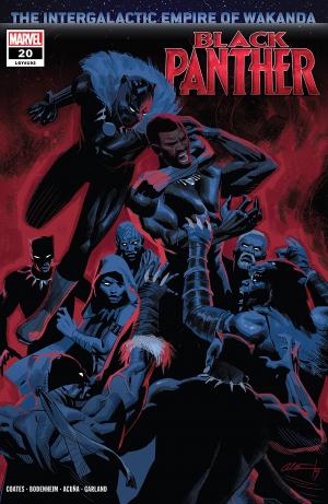couverture, jaquette Black Panther 20 Issues V7 (2018 - 2021) (Marvel) Comics
