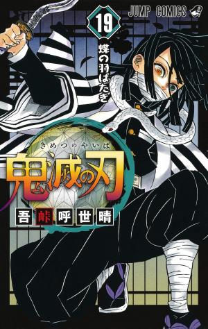 couverture, jaquette Demon slayer 19  (Shueisha) Manga