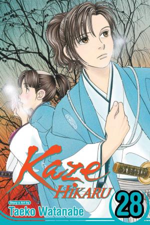 couverture, jaquette Kaze Hikaru 28 USA (Viz media) Manga