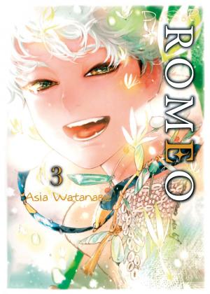 couverture, jaquette D.S.P Romeo 3  (taifu comics) Manga