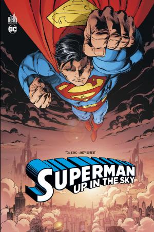 Superman - Up in the sky 1