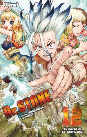 couverture, jaquette Dr. STONE 12  (Glénat Manga) Manga
