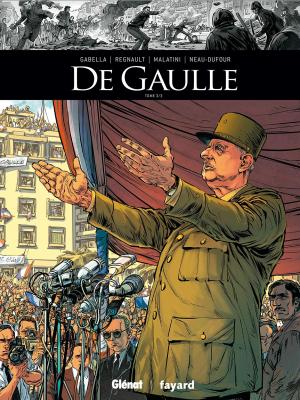 De Gaulle T.3