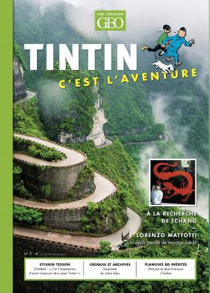 Tintin c'est l'aventure 5 simple