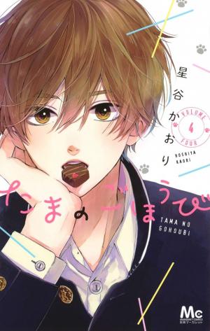 couverture, jaquette Tama no Gohoubi 4  (Shueisha) Manga