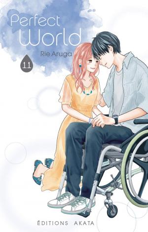 couverture, jaquette Perfect World 11  (akata) Manga