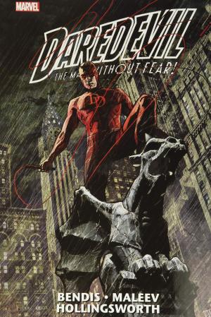 Daredevil édition Daredevil By Brian Michael Bendis Omnibus