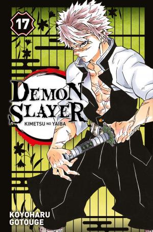 couverture, jaquette Demon slayer 17 Simple (2019) (Panini manga) Manga