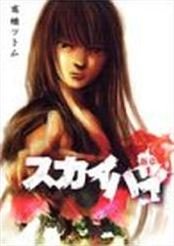 couverture, jaquette Sky High 3 - Shinshô 1  (Shueisha) Manga