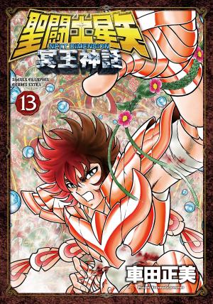 couverture, jaquette Saint Seiya - Next Dimension 13  (Akita shoten) Manga