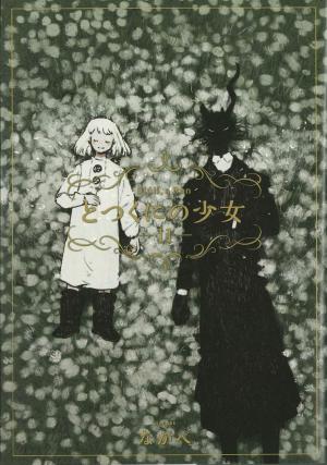 couverture, jaquette L'Enfant et le Maudit 11  (Mag garden) Manga