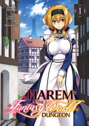 couverture, jaquette Harem in the Fantasy World Dungeon 1  (meian) Manga